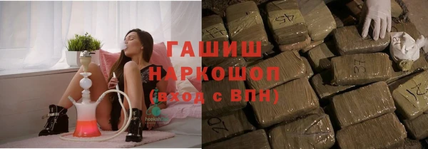 прущие грибы Сафоново