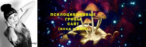 spice Алзамай