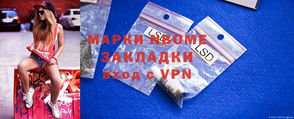 прущие грибы Сафоново