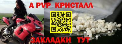 шишки Новодвинск