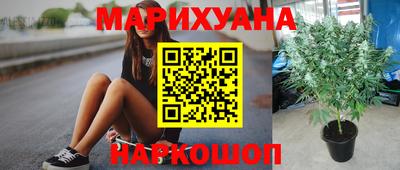 apvp Обнинск