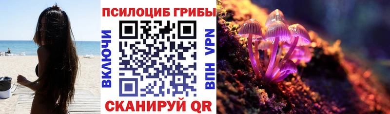Псилоцибиновые грибы ЛСД  Балашов 