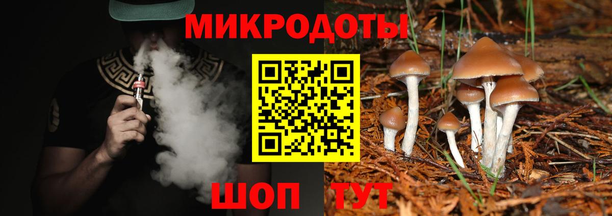 Галлюциногенные грибы прущие грибы Балашов