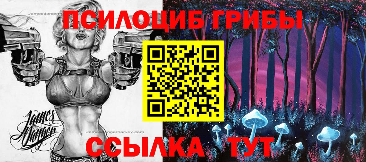 Псилоцибиновые грибы GOLDEN TEACHER  Галлюциногенные грибы GOLDEN TEACHER  Вход с VPN  Балашов 